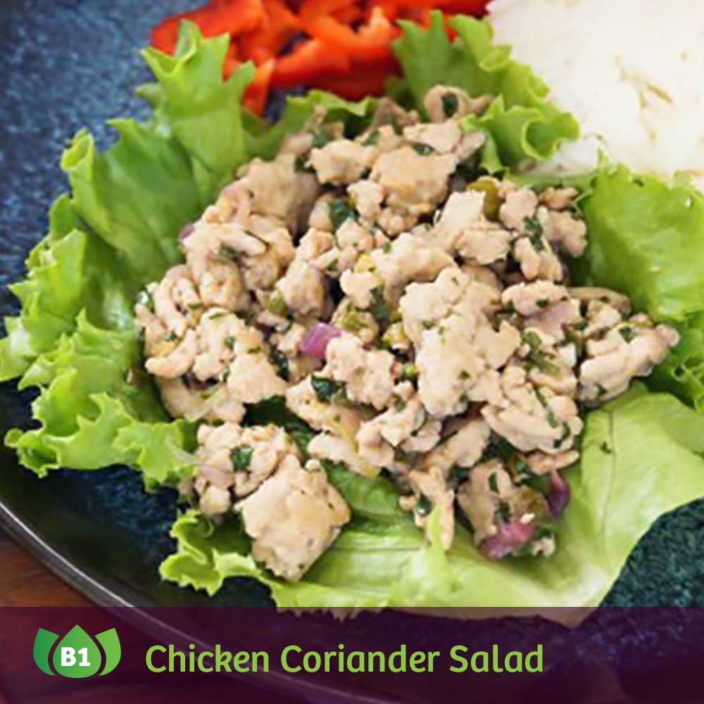 B1 Laab Gai Chicken Coriander Salad